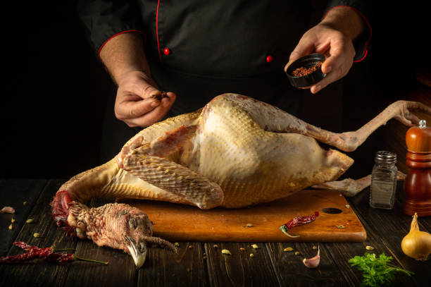 istock The chef seasons fresh turkey with dry aromatic herbs in a cozy kitchen setting. National dish from a large bird by the hands of the cook 2199415471