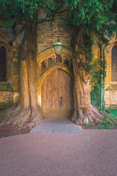 istock Old wooden door framed by two large trees in cotswolds 2199415928