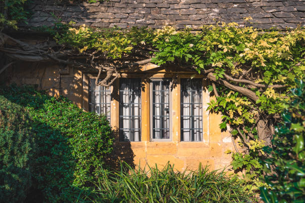 Picturesque cotswolds cottage exudes charm with its stone walls, latticed windows, and overgrown vines, nestled within a vibrant green garden