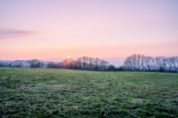 Green meadow at sunrise in cotswolds, england, creating a beautiful pastel-colored landscape
