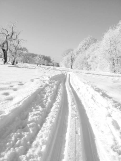 Winter landscape on the Swabian Alb in Germany.