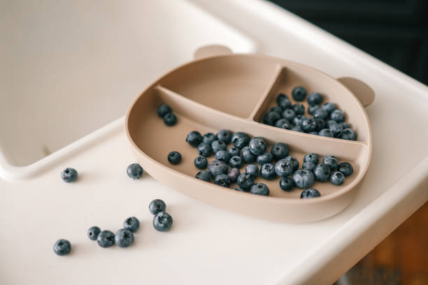 Blueberries in a silicone suction plate on a high chair tray, some scattered on the surface. Modern kitchen setting, minimalistic toddler mealtime, baby-led weaning, and healthy snack concept