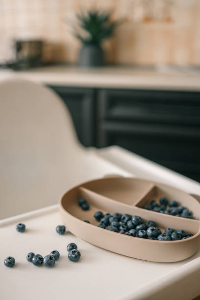 istock Blueberries in a silicone suction plate on a high chair tray, some scattered on the surface. Modern kitchen setting, minimalistic toddler mealtime, baby-led weaning, and healthy snack concept 2199420957