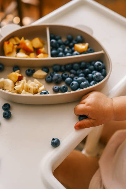 istock Toddler self-feeding with sliced peaches, bananas, and blueberries from a divided plate on a highchair. Perfect for baby-led weaning, healthy snacking, and developing fine motor skills 2199420963