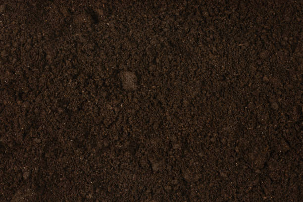 istock Black land for plant background. 2199421608
