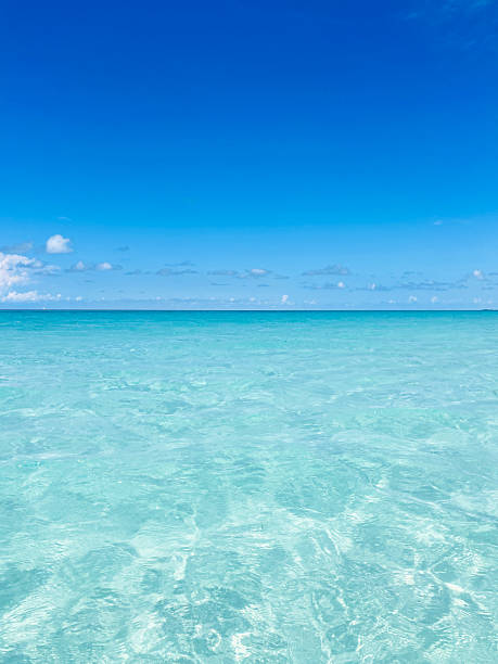 istock Tranquil seascape with calm water and bright sky, Varadero beach, Cuba 2199421946