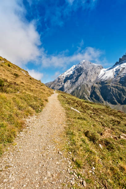istock Mountain hiking trail in swiss alps 2199422755
