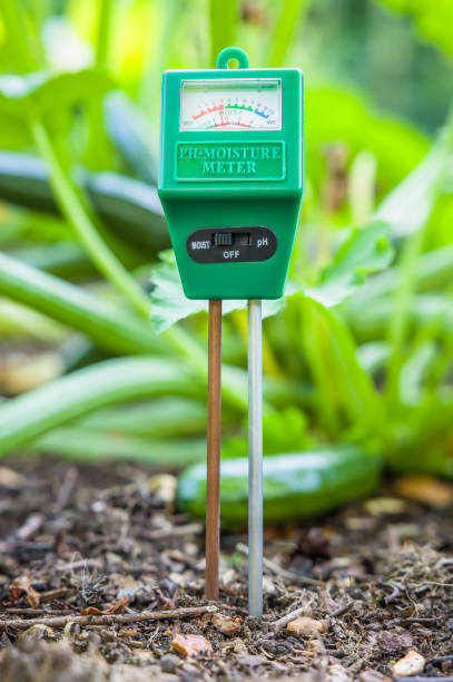 istock Soil moisture meter in a UK vegetable garden 2199423701