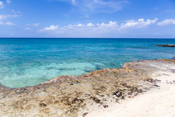 istock Grand Cayman Rocky Coastline And Transparent Waters 2199431730