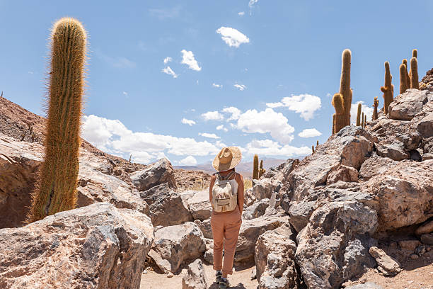 Giant cactus on Isla Incahuasi in Bolivia against a deep blue clear sky.