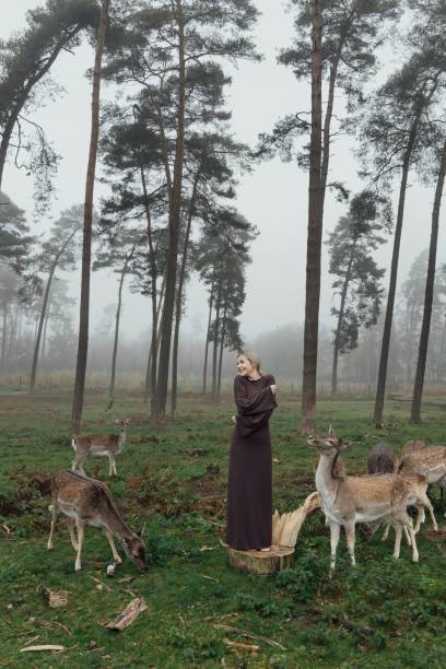 istock A woman in an elegant dress poses between a forest and wild deer, creating a harmonious and fairy-tale atmosphere. woman and deer symbolize the unity of man with nature, meekness and naturalness. 2199442709