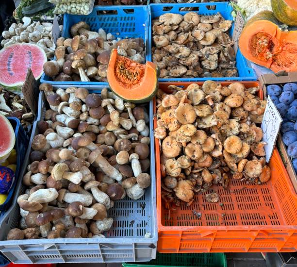 Plenty of mushrooms and vegetables