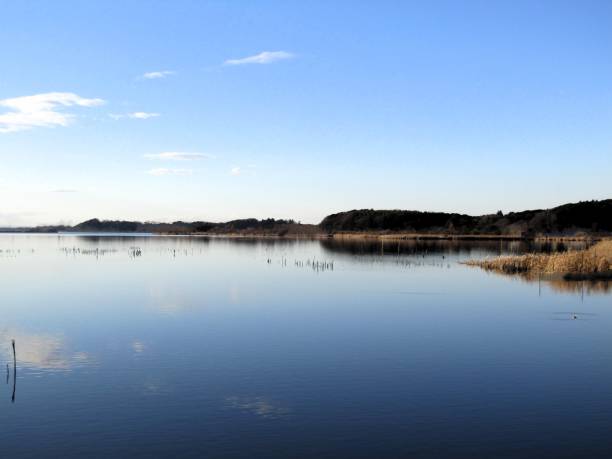 istock January. At the lake. 2199444036