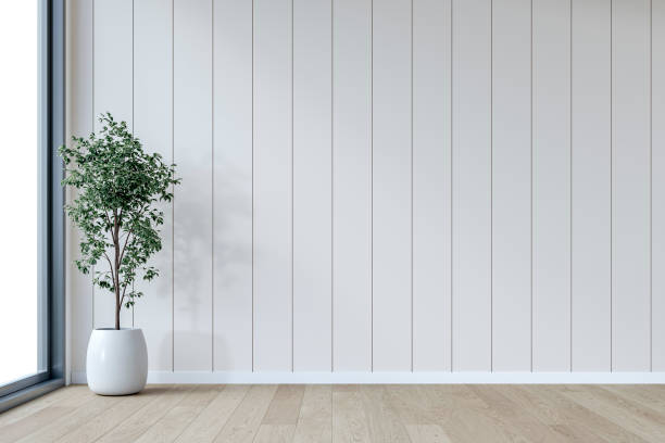 istock A minimalistic, unfurnished interior with a potted plant in front of an empty cotton white paneled accent wall background with copy space, and a window 2199445583