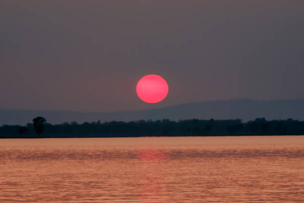 Pantone color of Orange, Golden hour background  in Nature