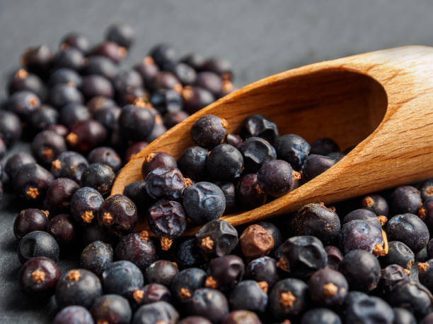 istock Bright juniper berries, create a calm and attractive natural background. 2199453515