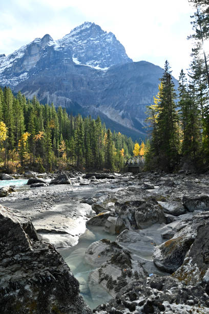 istock Rugged mountains and Kicking Horse river at Yoho National Park 2199459846