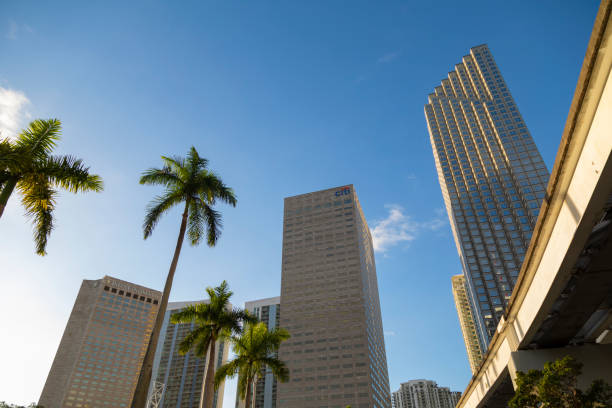 istock Palm Trees and Skyscrapers: Miami’s Iconic Skyline 2199460217
