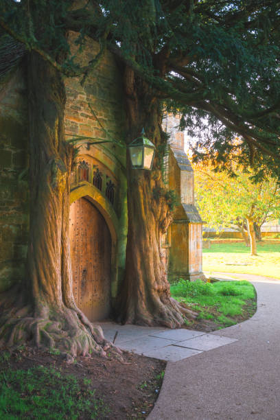 istock Old wooden door framed by two large trees in cotswolds 2199467118