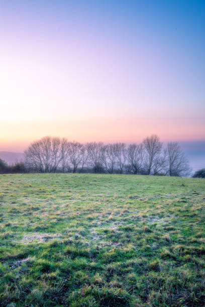 Green meadow at sunrise in cotswolds, england, creating a beautiful pastel-colored landscape
