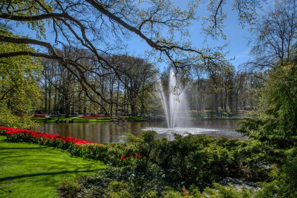 A serene park landscape featuring a vibrant fountain, lush greenery, and colorful tulips in full bloom under a clear blue sky.