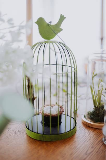 A birdcage featuring a green bird top stands on a table with a nest.