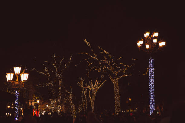 Trees and city lighting poles lighting with garlands at night