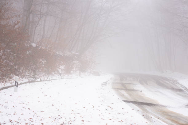 Snowy road in winter passes through a foggy forest