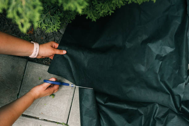 istock Hands cutting black landscape fabric with scissors while preparing the ground for gardening. The material is used for weed control and soil protection in an outdoor setting 2199488794