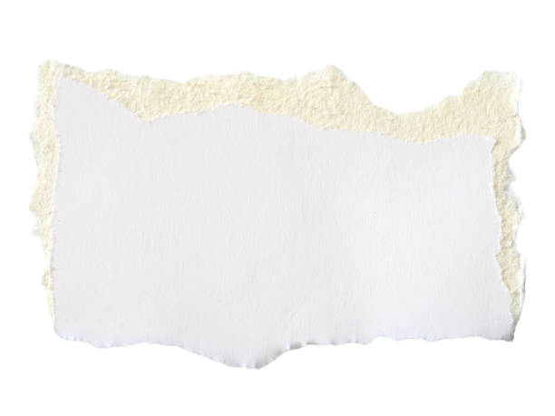 istock Pieces of torn or cut white cardboard isolated design element on transparent background. 2199497518