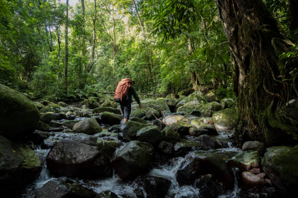 istock Man with backpack walking in the river-Stock Photo 2199505399