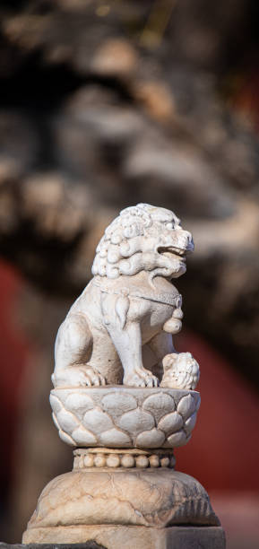 istock Stone lions in the Forbidden City 2199506293