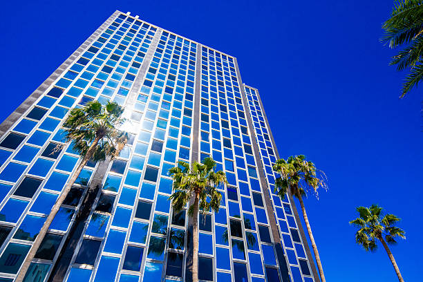 Office building with blue glass on a blue sky with palms