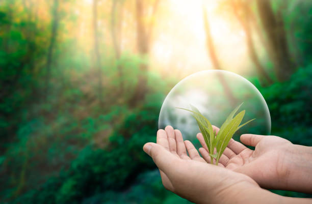 istock The Importance of Environmental Conservation 2199516093