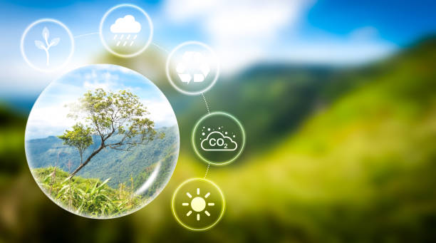 istock The Importance of Environmental Conservation 2199516099