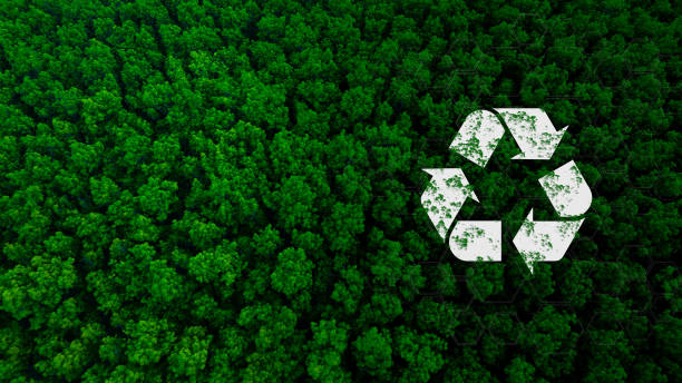 istock The Importance of Environmental Conservation 2199516101