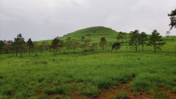 The green view isolated with mountain and cloudy sky