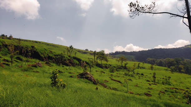 istock The green view isolated with mountain and cloudy sky 2199519951