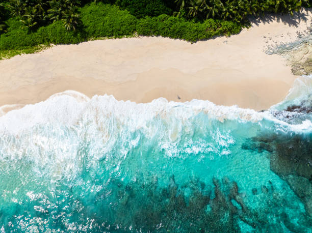 istock Beautiful beach in the tropics. Seychelles, Mahe. 2199520616