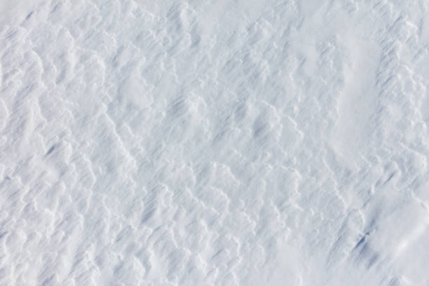 Free picture: Snow texture, a detailed pattern created by the wind, a ...