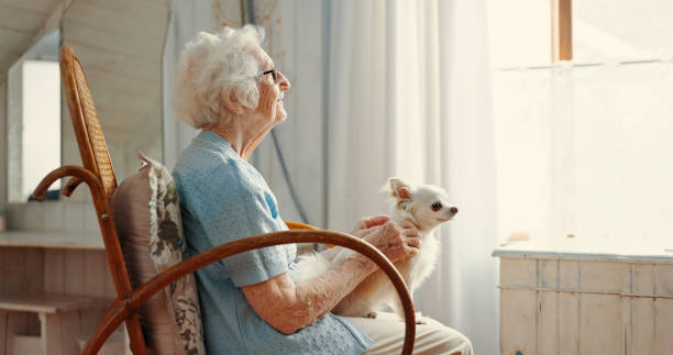 Dog, elderly woman and living room for thinking, memory and affection as emotional support animal. Puppy, senior person and reflection for wellness, pet care or bonding as together in retirement home