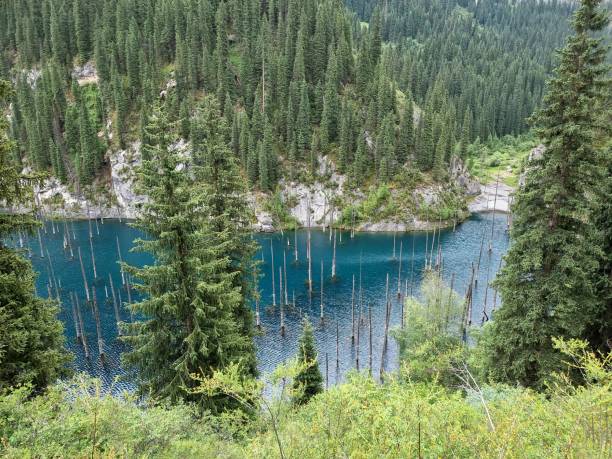 istock Beautiful Shot Of A Lake Surrounded By Coniferous Trees 2199535201