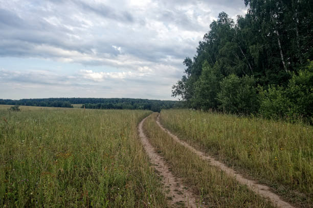 istock Dirt road in the countryside on a cloudy day 2199536137