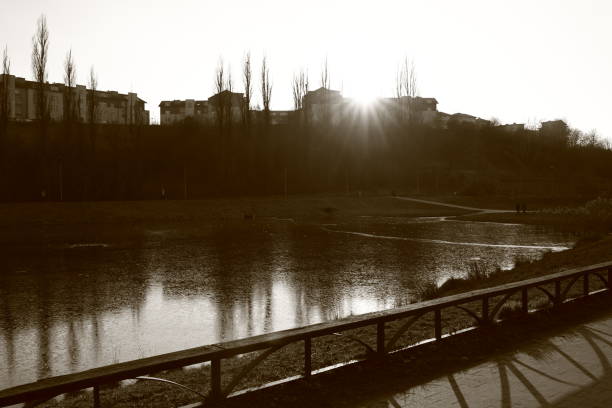 rays of the setting sun over apartment blocks, a park and a lake in the city, black and white photo