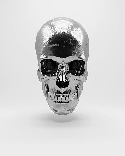 istock Skull human silver black white monochrome anatomy bone death memento mori gothic 2199564151
