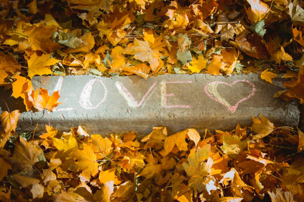 leaf, abstract, texture, nature, wedding, design, romantic, yellow, bright, color, love, autumn, background, closeup, celebration, natural, decoration, season, beautiful, wedding decoration, maple, valentine romantic, sunlight, elegance, foliage, outdoor, orange, lovely, park, marriage, abstract, autumn, background, beautiful, bright, celebration, close-up, closeup, closeup detail, color, colorful, day, decor, decoration, design, elegance, engagement, fall, foliage, gold, golden, joy, leaf, leaves,Leaf,Nature,Plant,Autumn,No People