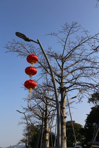 istock A street light with three red lanterns hanging from it 2199568150