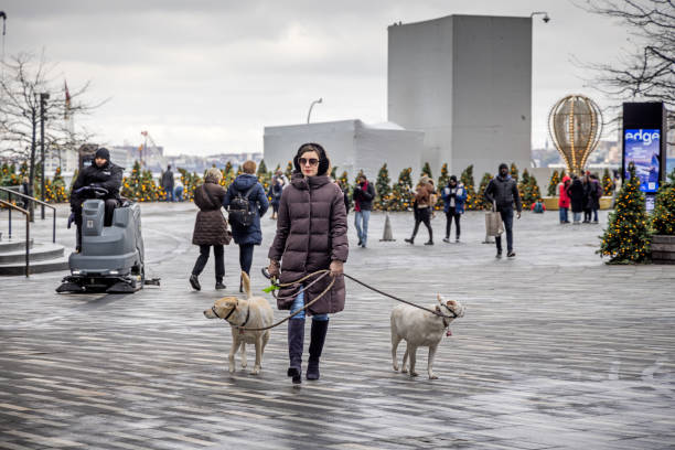 Hudson Yard, Manhattan, New York, United States - January 11th 2025:  Woman in winter clothes with two white dogs in leashes on a freezing cold winter day