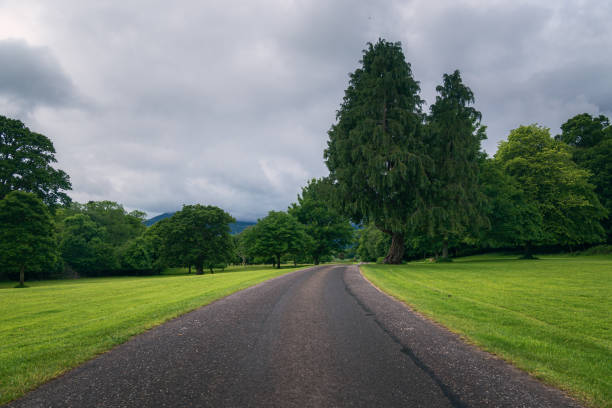 Park and gardens in Killarney, Ireland.
