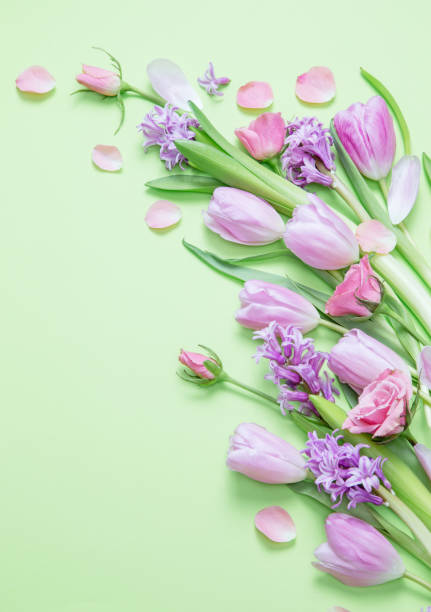 istock spring flowers on green paper background 2199572754